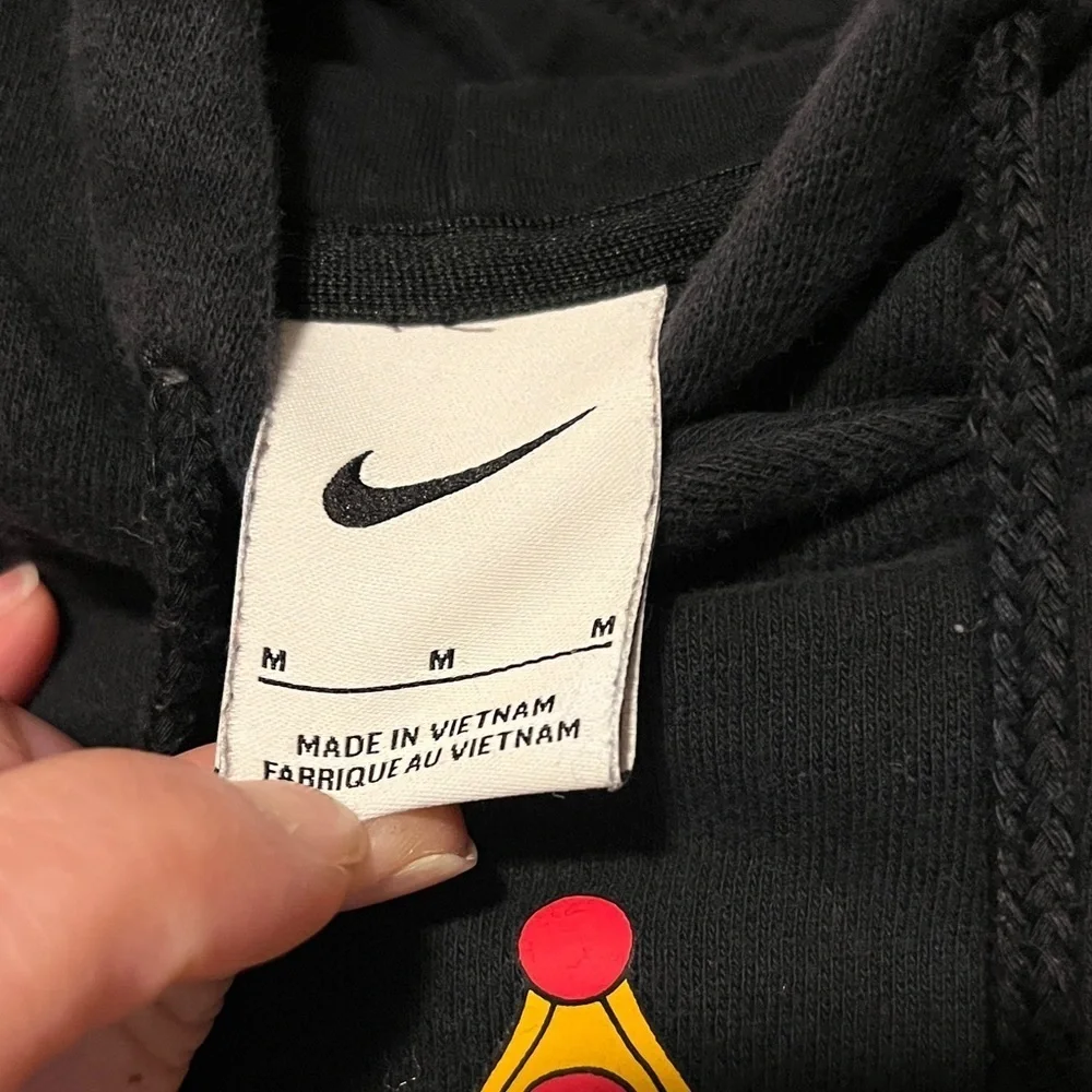 Nike LeBron James Crowned Lion Pullover Hoodie